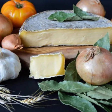 Apartment 6 Pers, Wi-fi, Proche Pistes Ski, Garage Prive, Vue Et Montagnes - Fr-1-814-24 Besse-et-Saint-Anastaise